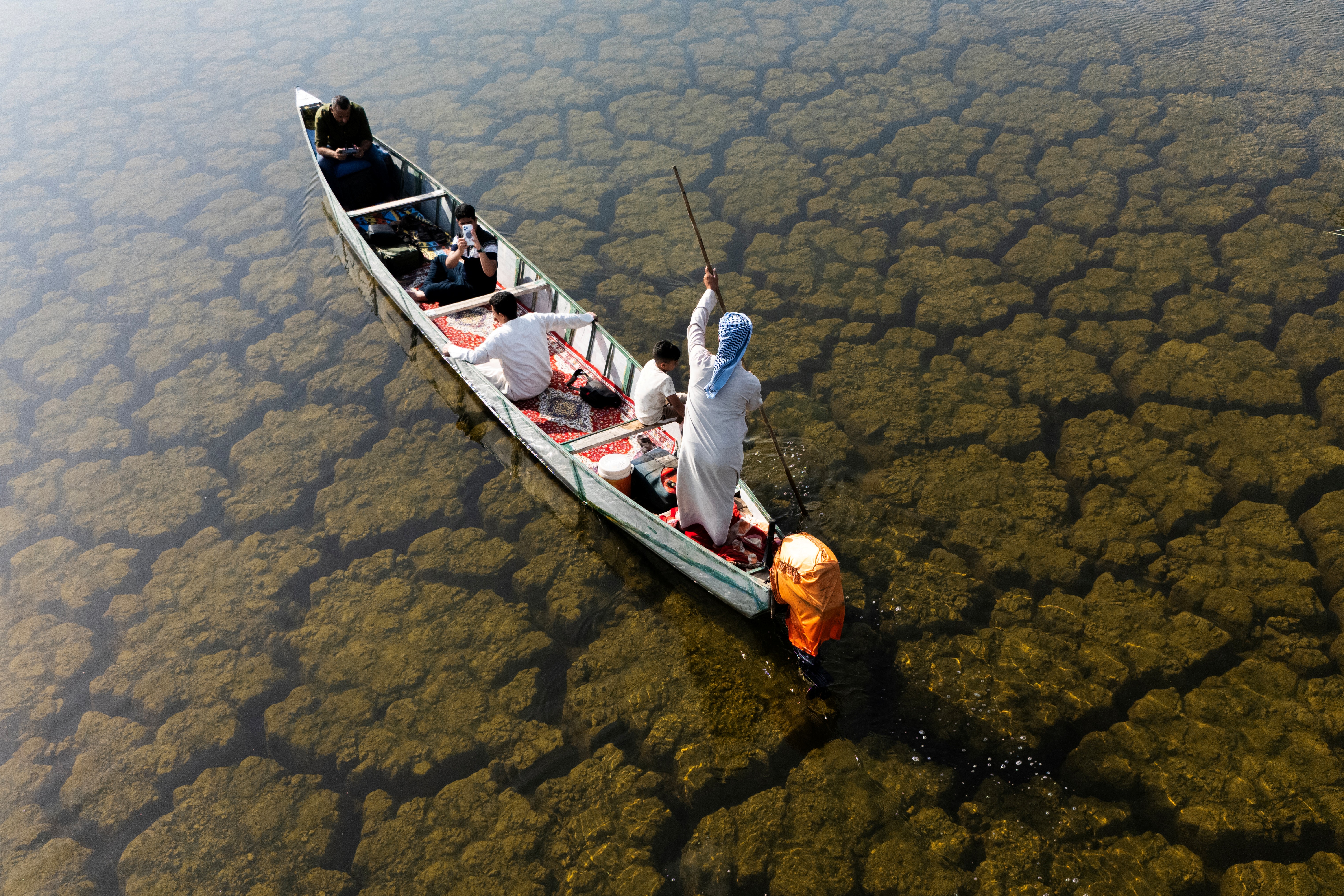 Iraq's marshes revived: long-awaited rains bring life back to wetlands