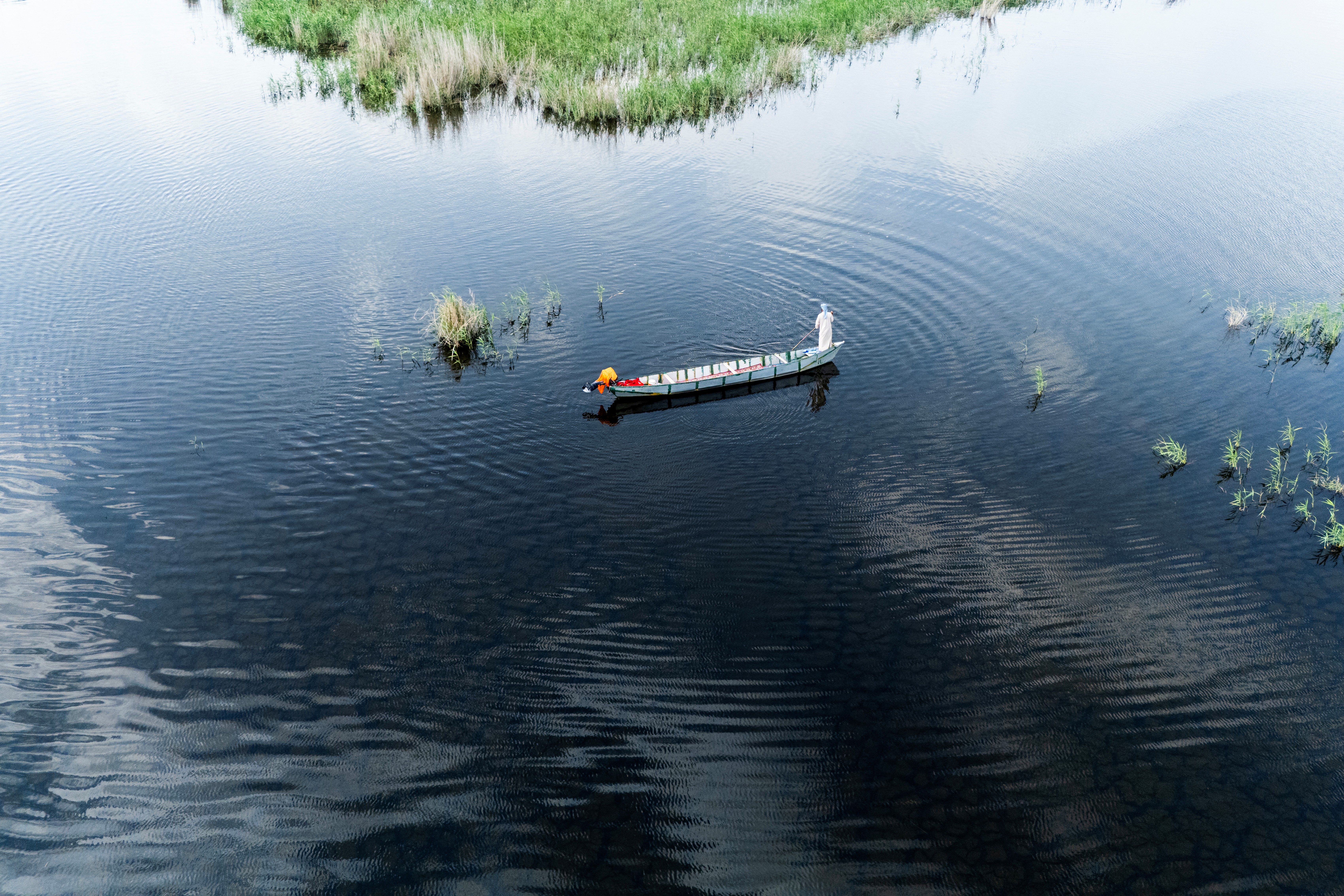 Iraq's marshes revived: long-awaited rains bring life back to wetlands