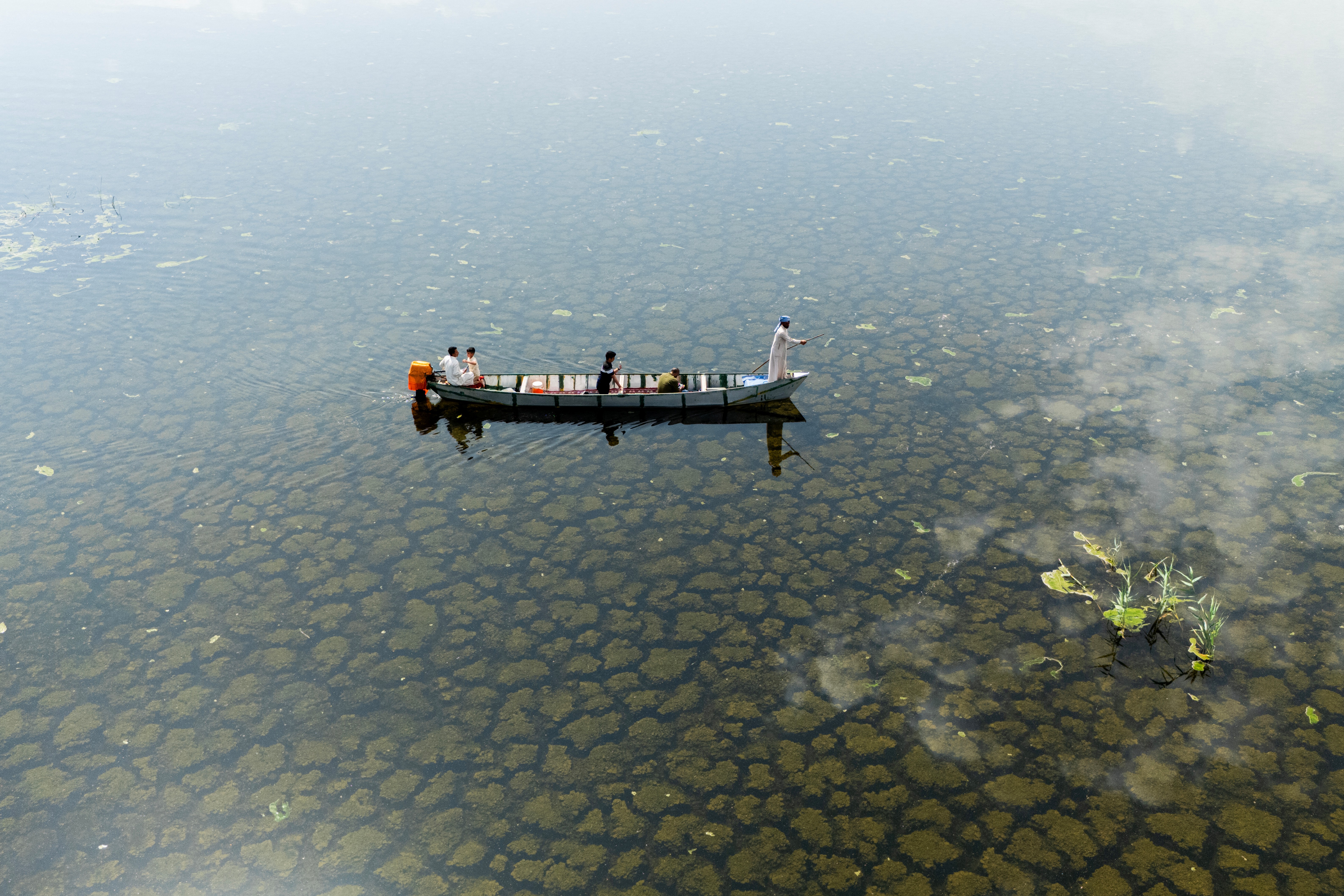 Iraq's marshes revived: long-awaited rains bring life back to wetlands