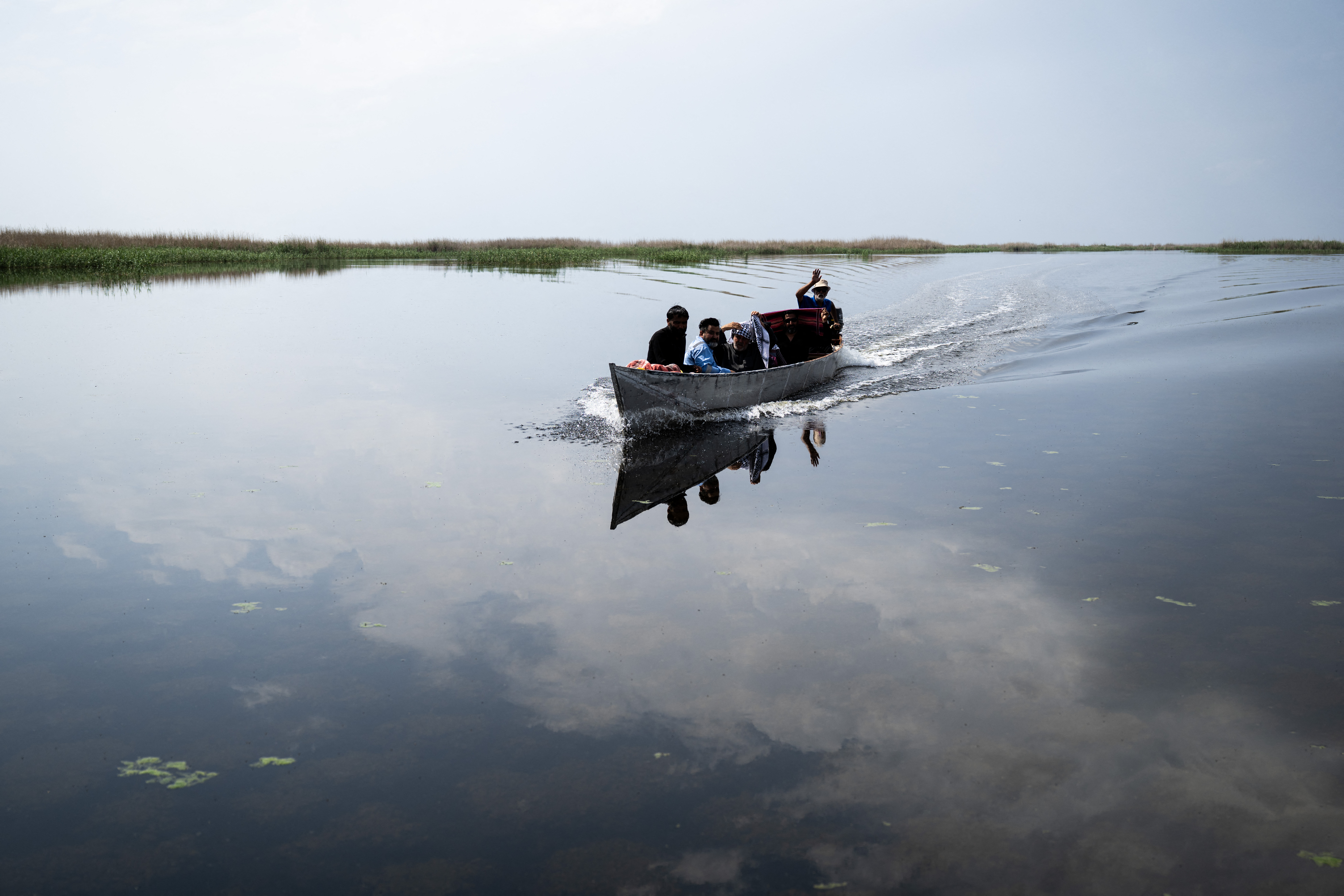 Iraq's marshes revived: long-awaited rains bring life back to wetlands