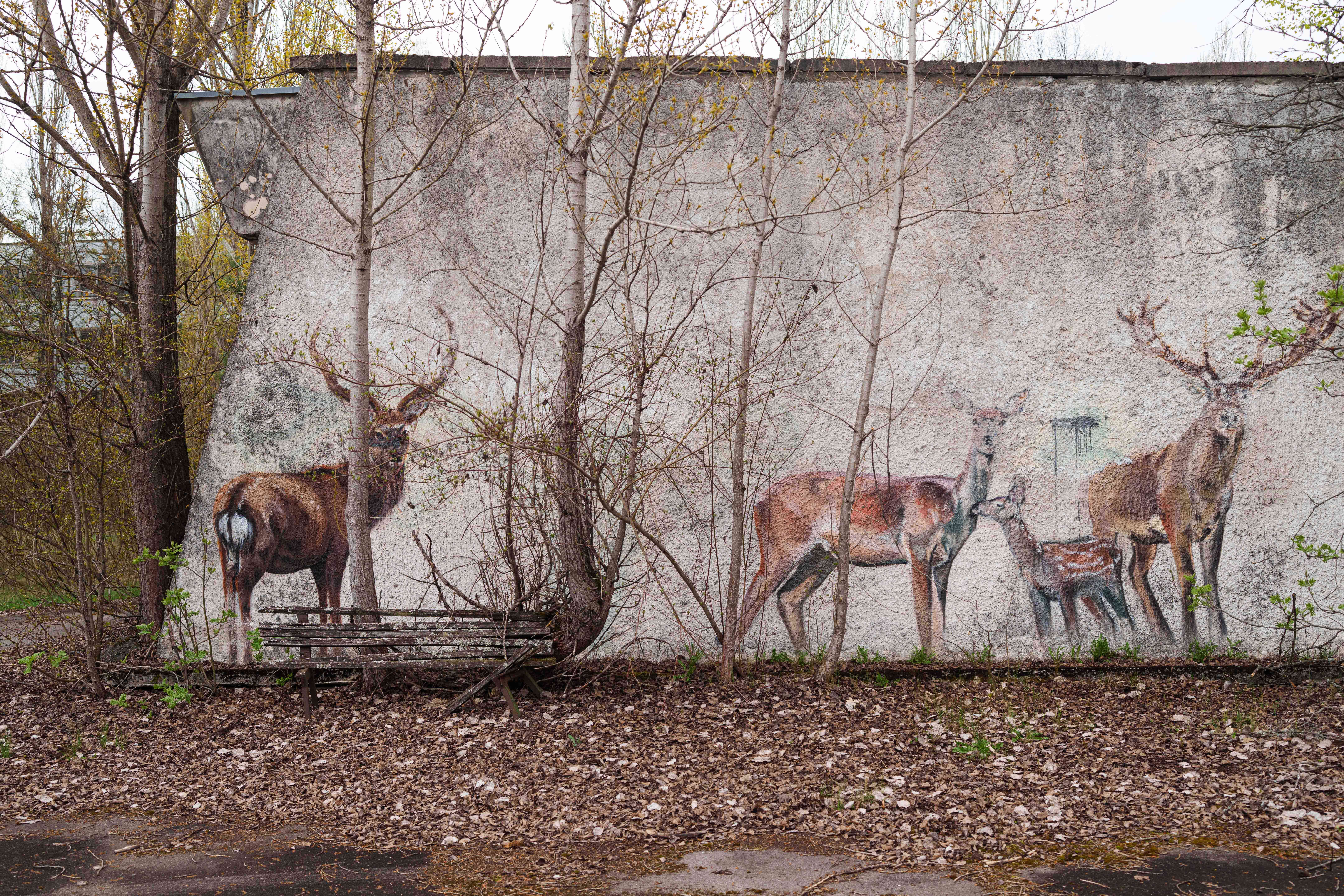 Survivors return to Chernobyl, 40 years after devastating explosion