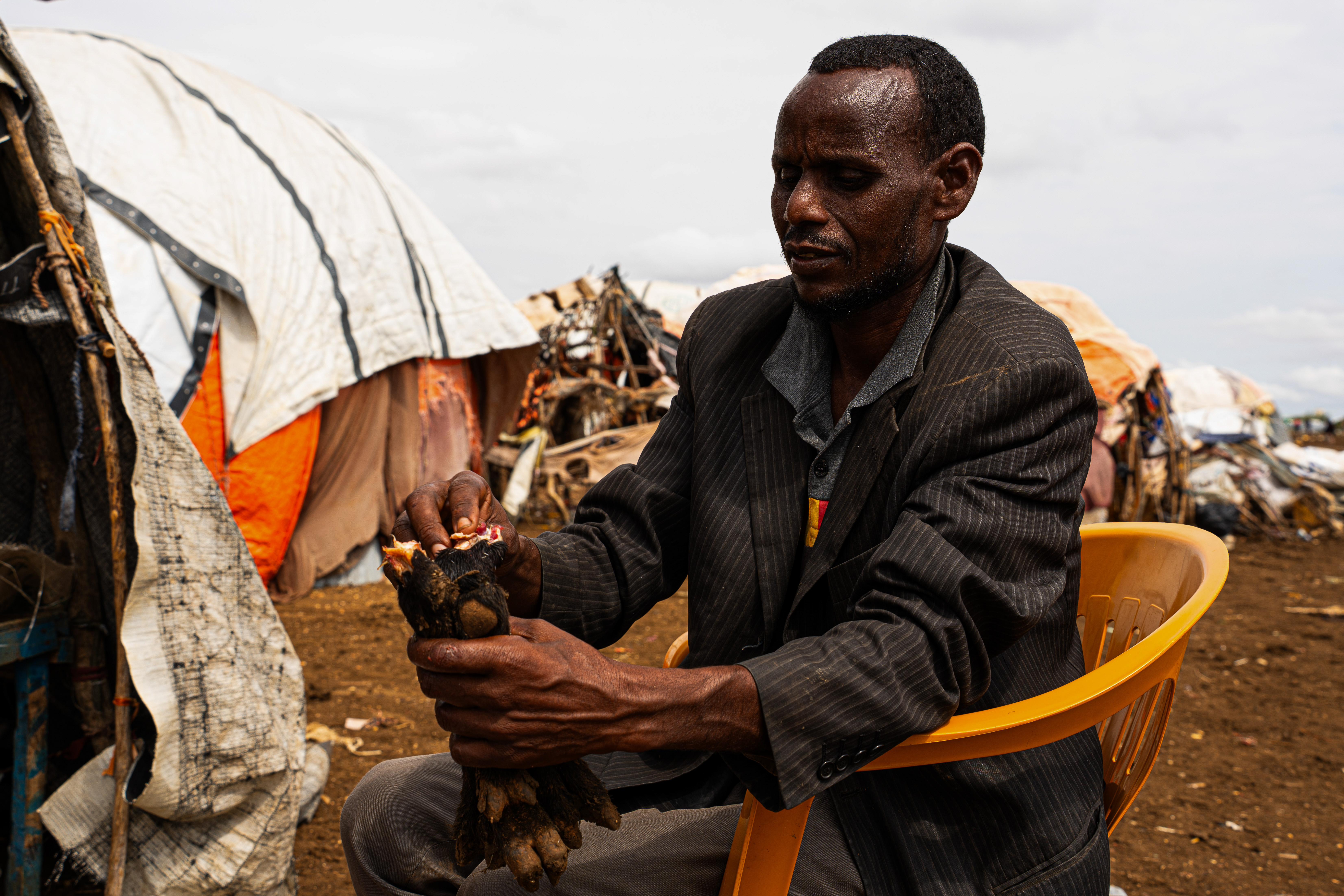 Hassan Adan is 47 years old and has been living at Wayamo camp in Baidoa for three months, after fleeing the Bakool region when drought destroyed his pastoral livelihood. Every morning he wakes before sunrise and walks to the Baidoa meat market, not to buy food, but to collect the goat legs that butchers discard. On days he finds nothing, his children go to sleep hungry. "It breaks me to feed my children what others throw away," he says. "But I have no choice. This is the only way I can keep them alive." Wayamo displacement camp, Baidoa, Southwest State, Somalia. [Abdulkadir Mohamed/NRC]