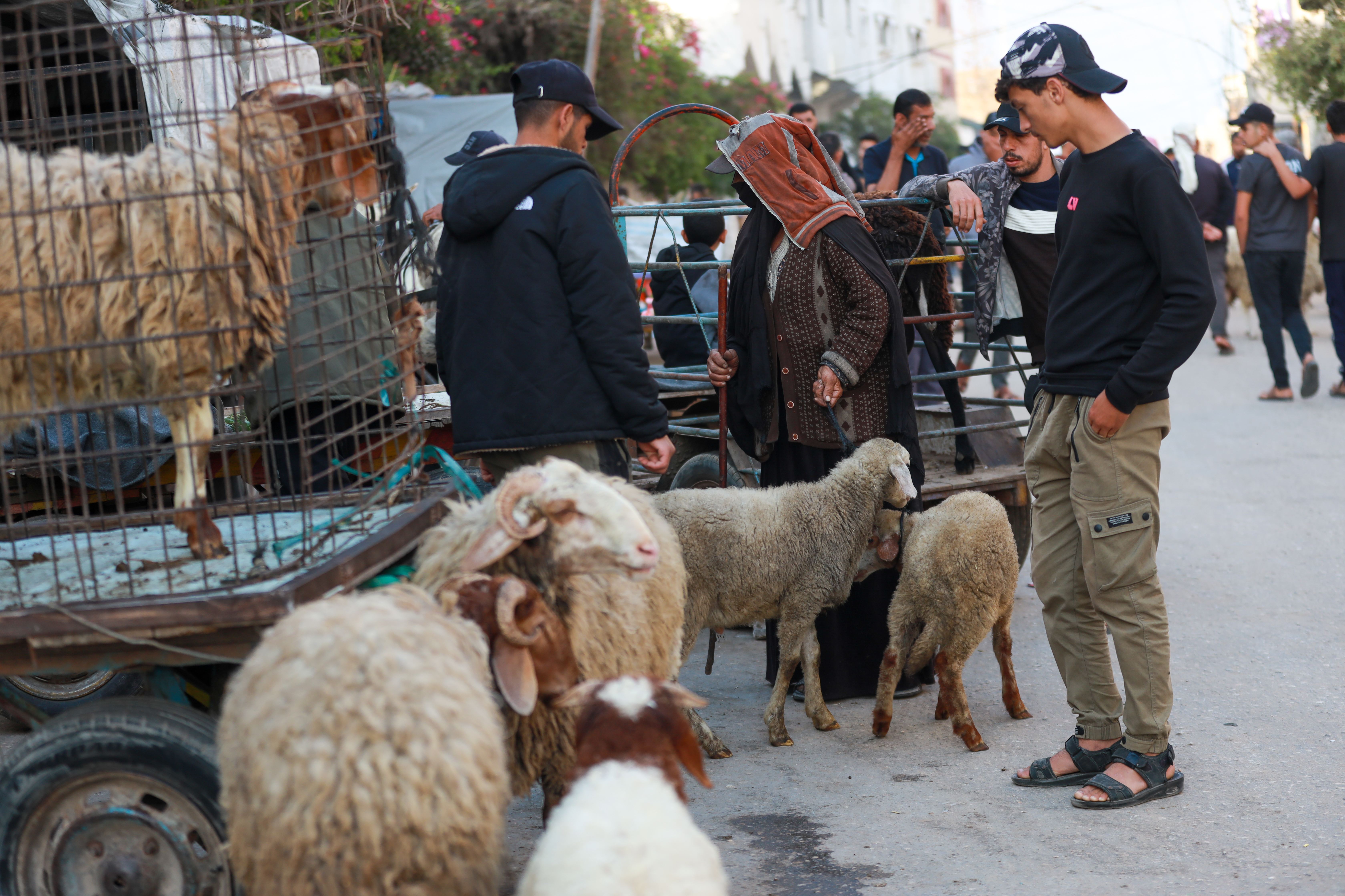 Eid al-Adha in Gaza