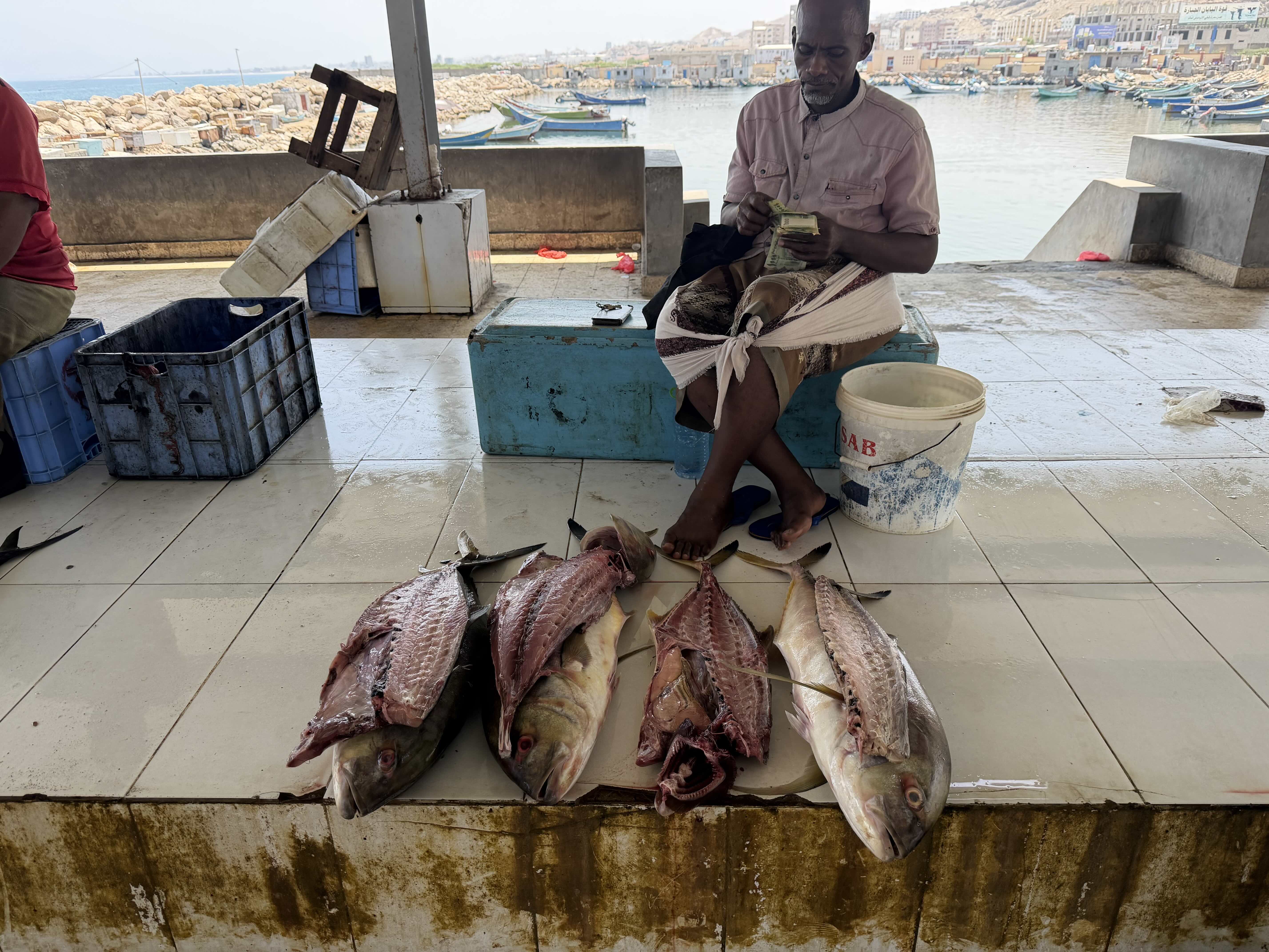 A fish vendor counts money at Mukalla’s fish market, where prices are expected to come under pressure as fishermen say they are spending more on fuel for fishing trips. 