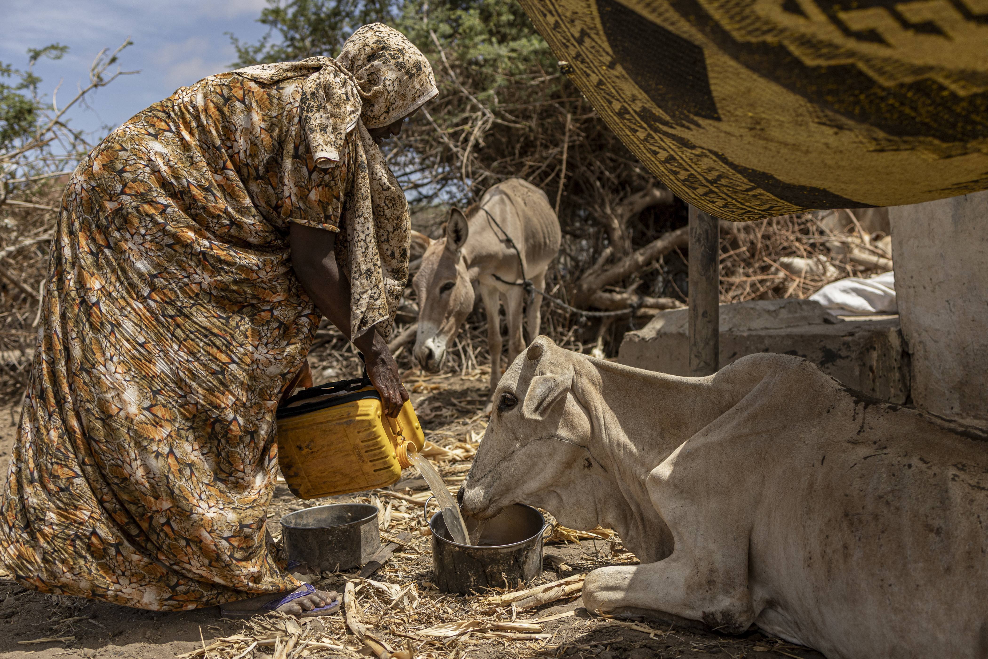 Aid cuts, drought and conflict leave Somalis desperate