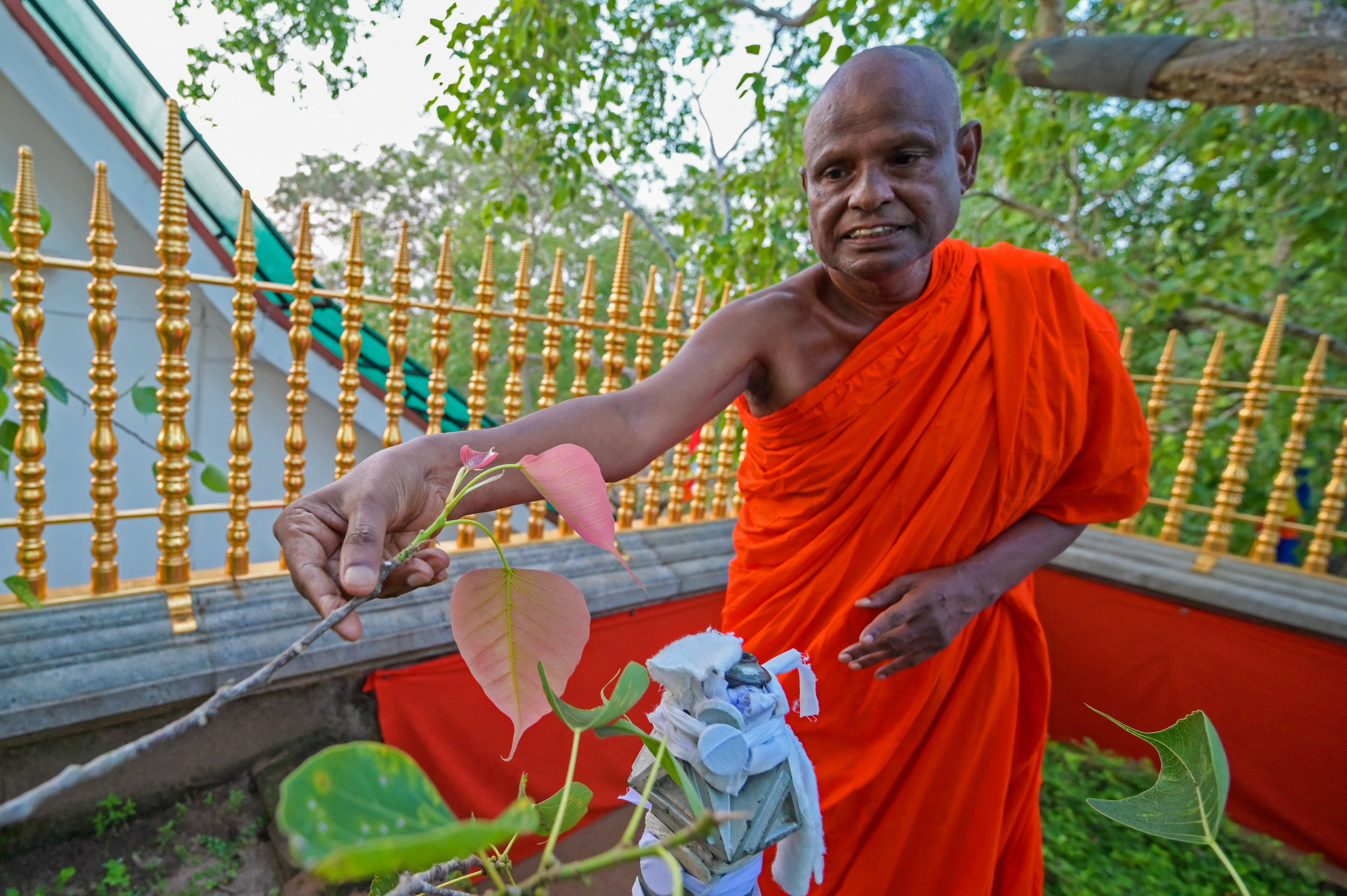 Buddhist monk Pallegama Hemarathana, Sri Lanka