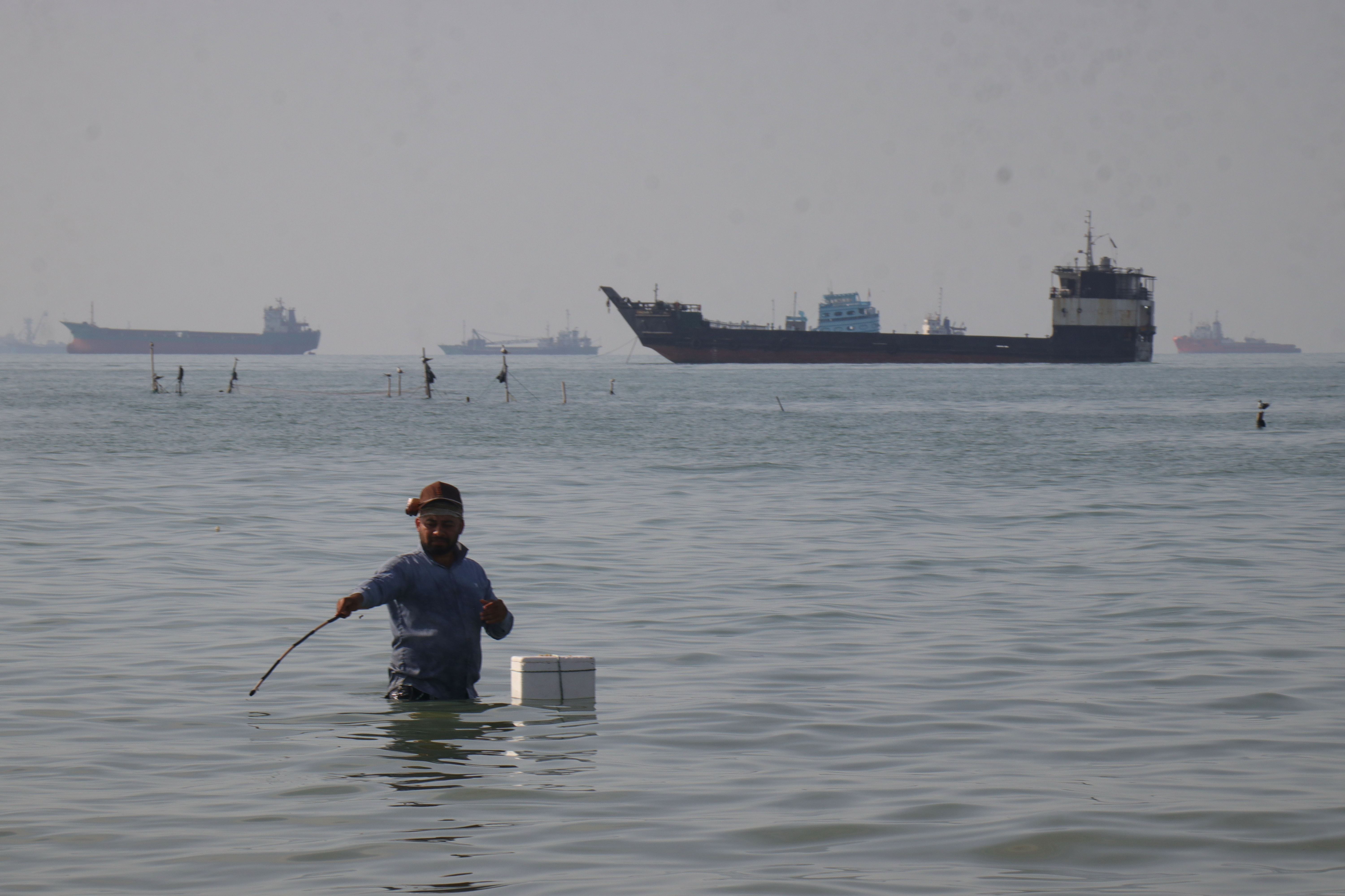 A man stands in the water, appearing to fish, as bulk carriers, cargo ships, and service vessels line the horizon.