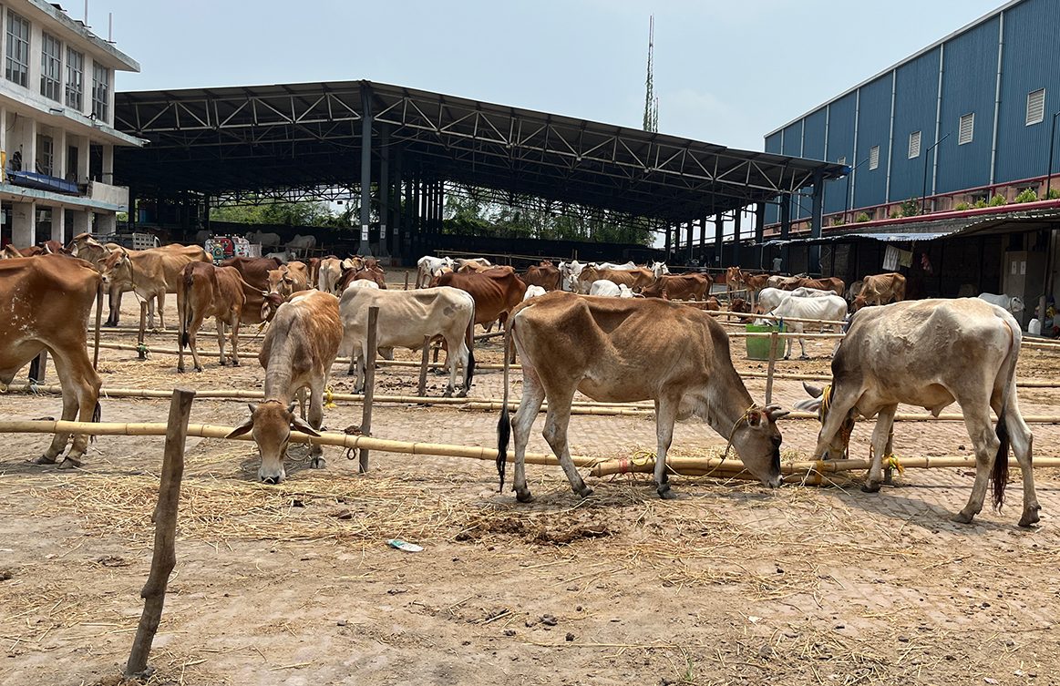 West Bengal Eid