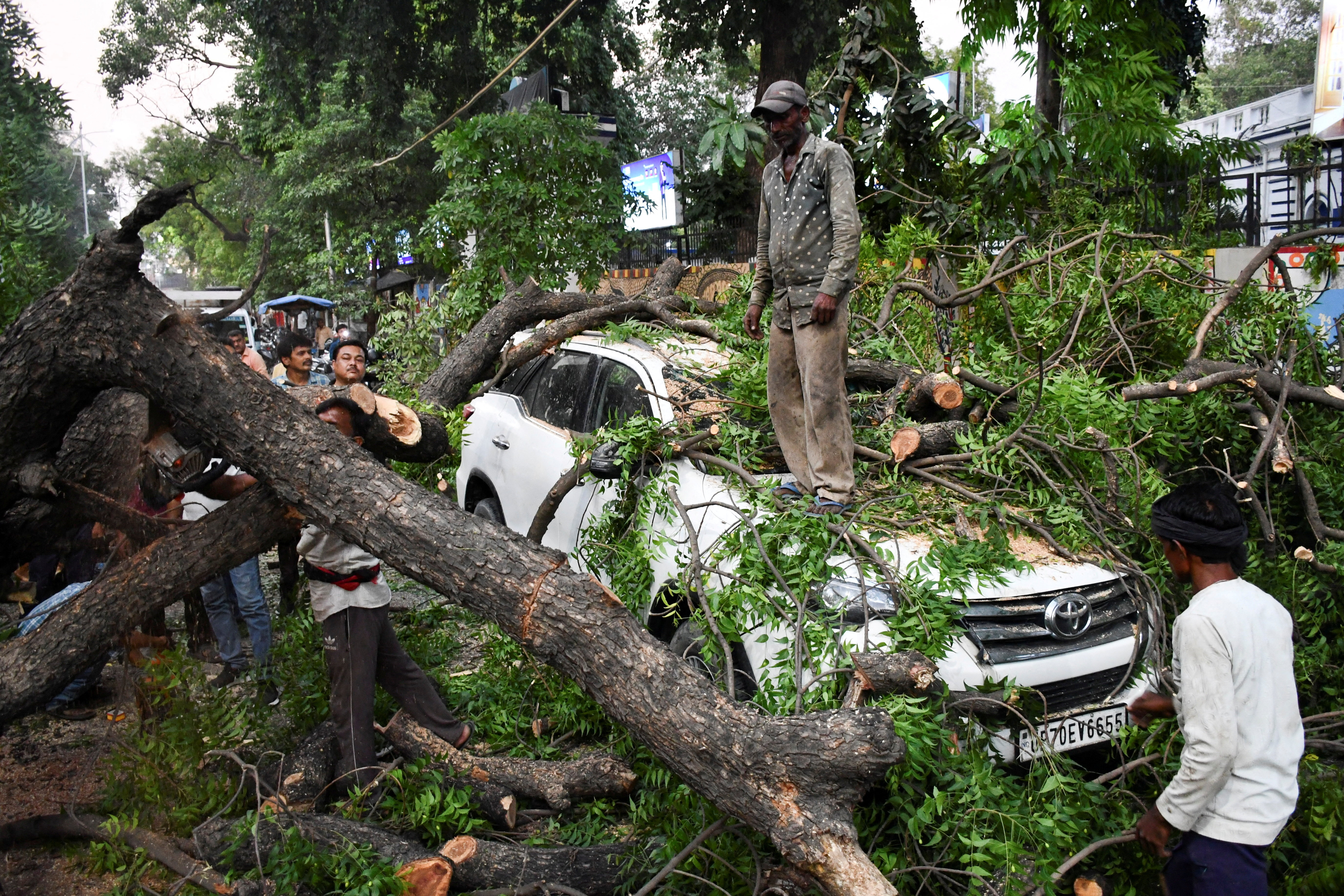 People remove a tree fallen over a car, during a heavy storm, in Prayagraj, in the north Indian state of Uttar Pradesh