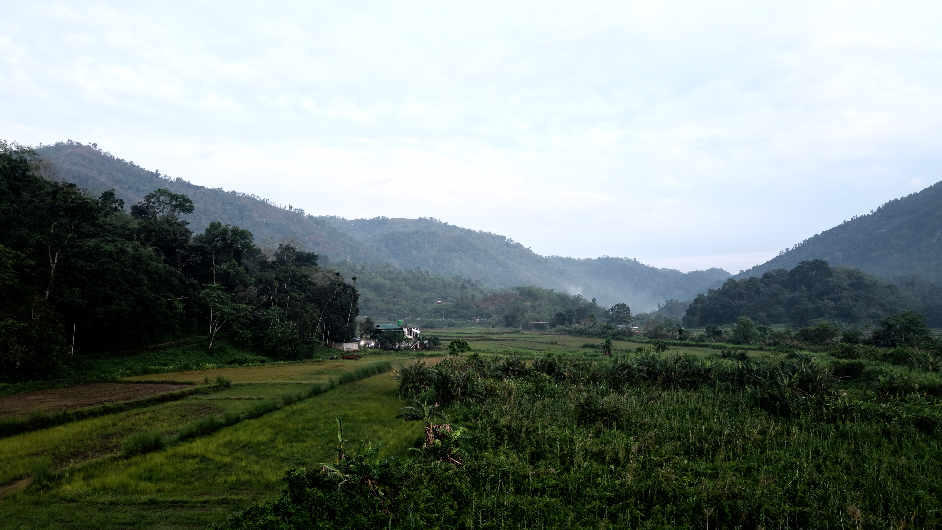 Government reserve forest in Meghalaya