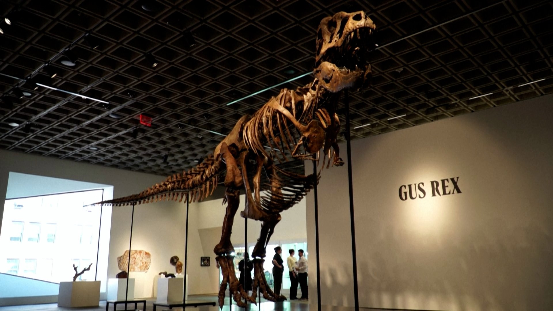 Rare T. rex skeleton sells for $50.1 million in New York auction [DIANE DESOBEAU/AFPTV/AFP]
