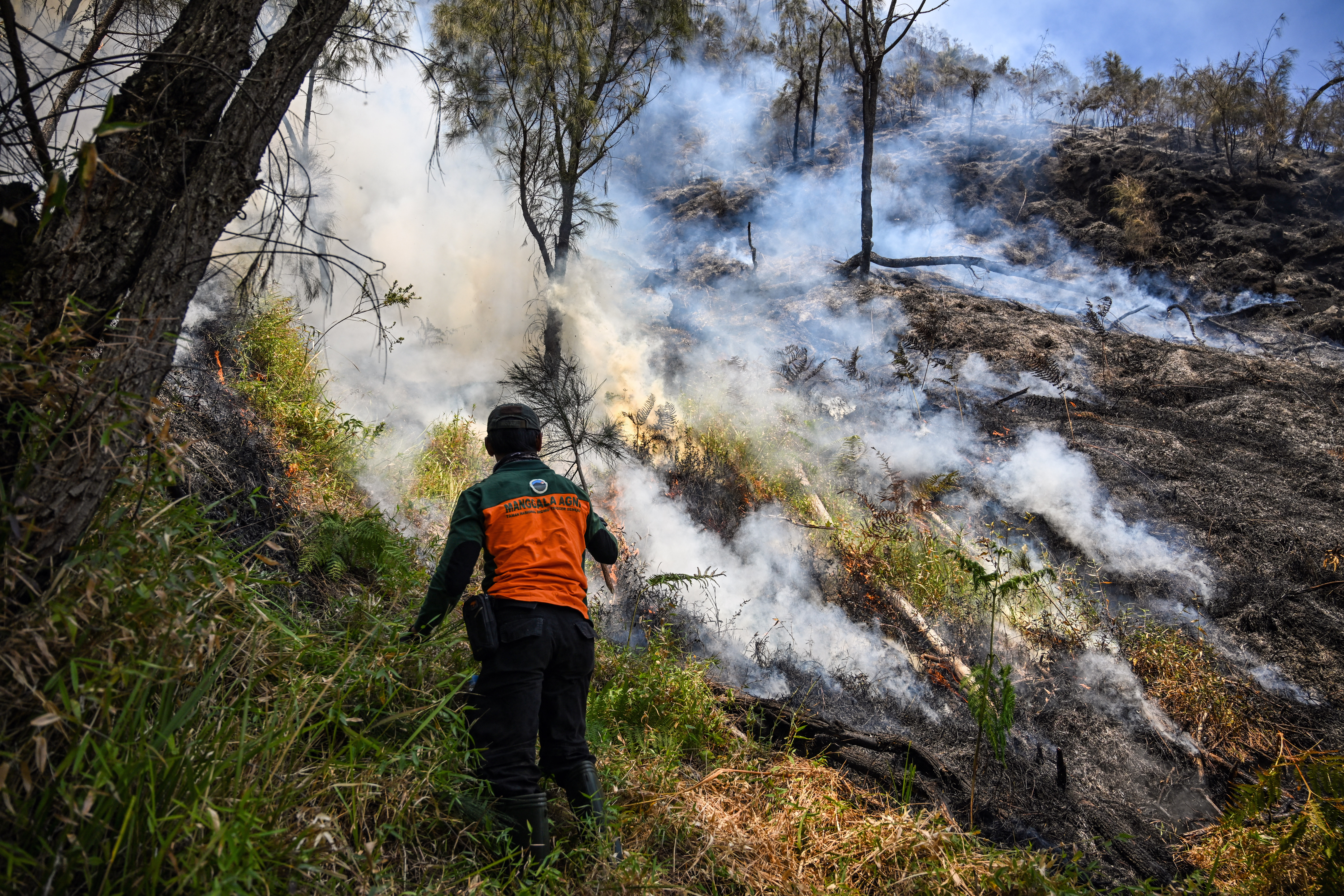 A firefighter battles a wildfire in the Bromo Tengger Semeru National Park near Mount Bromo in Probolinggo, East Java province on August 6, 2026. (Photo by JUNI KRISWANTO / AFP)