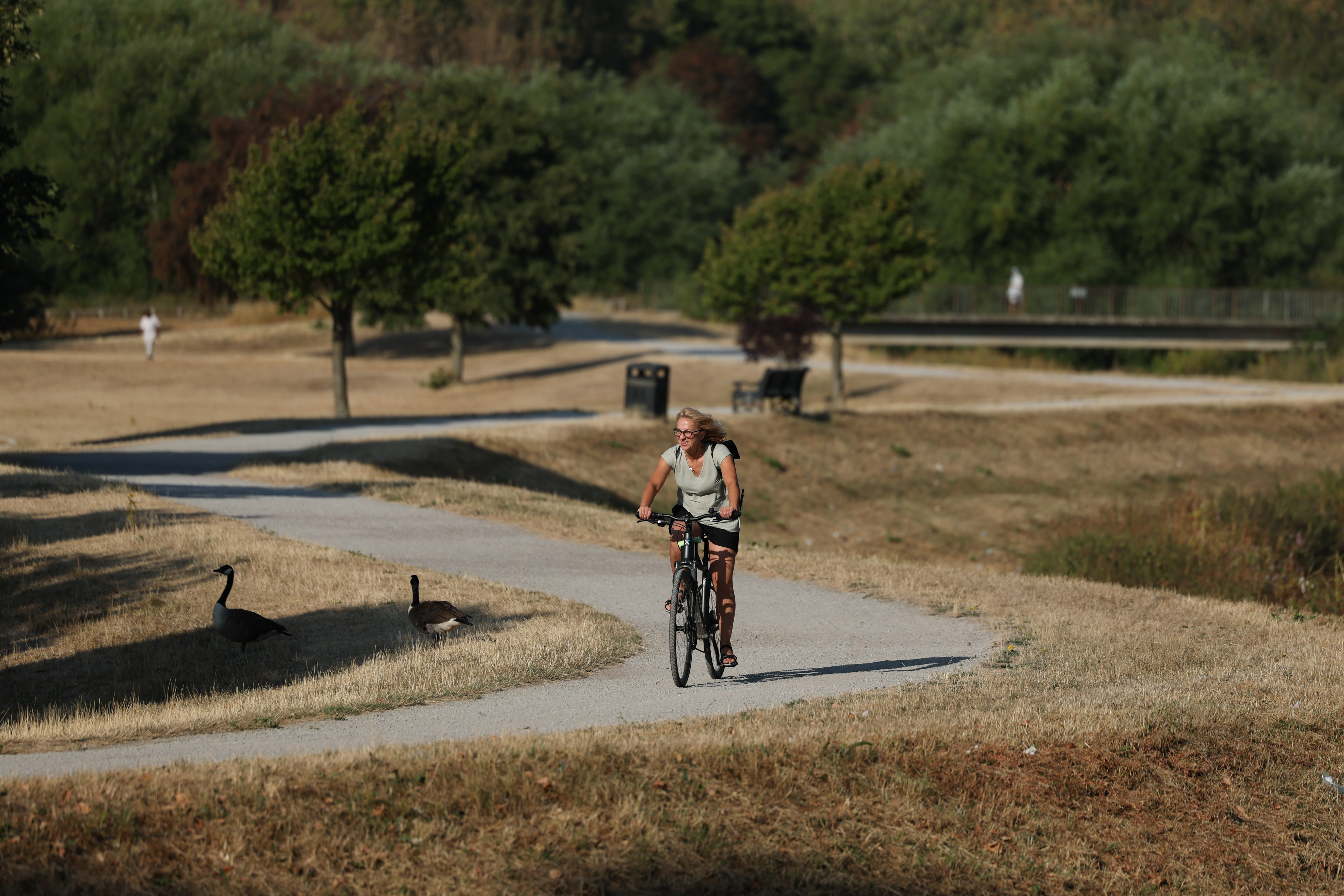 epa13165931 A person cycles through parched parkland in Birmingham, Britain, 13 August 2026. An amber weather warning covering parts of southern and eastern England, as well as parts of the Midlands has been issued as another heatwave sweeps across the UK. Meanwhile, 2026 is on course to be Britain's hottest summer ever recorded, the Met Office reported. EPA/ADAM VAUGHAN