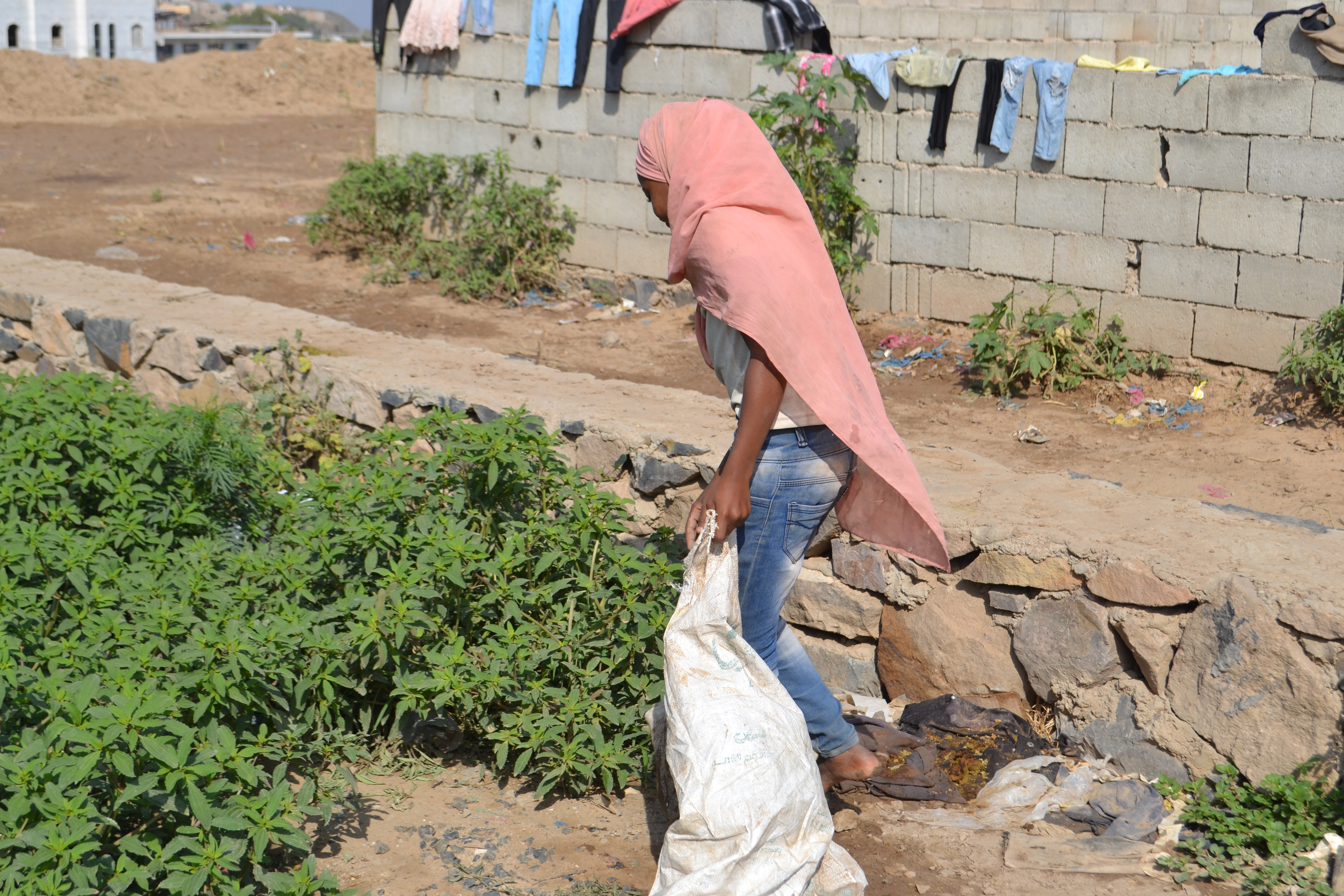 Eleven-year-old Hasna’a collects empty plastic bottles to sell for recycling in Taiz, Yemen
