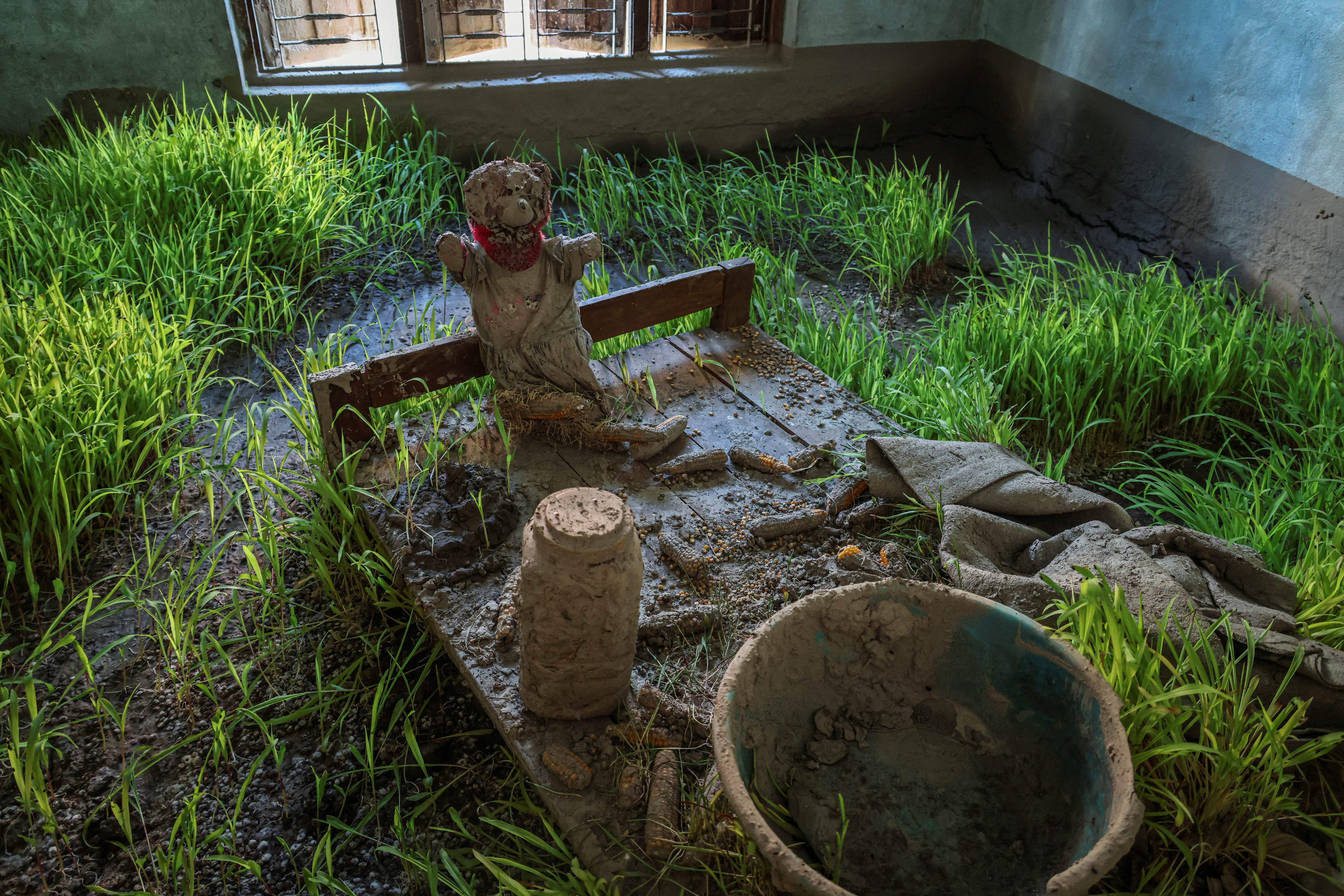 Corn sprouts from a mud-covered storage place, alongside a toy doll in Devighat, Nuwakot district, Nepal, September 9, 2026